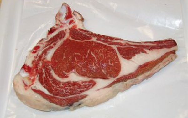 caract_produtivas_cachena2 1
