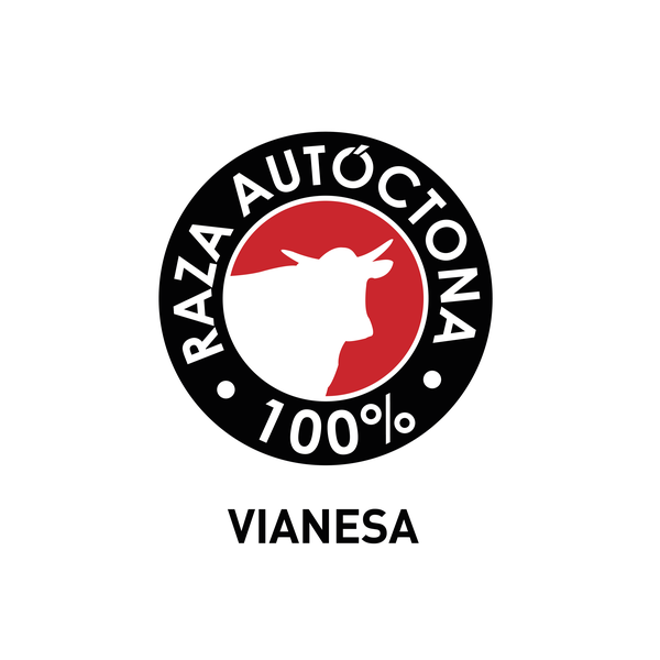logos_100_vianesa