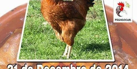 10850189_1507568146175027_3819321029926002660_n