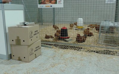20120616_144021
