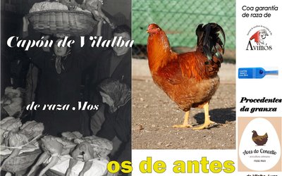 a3ventacapc3b3n