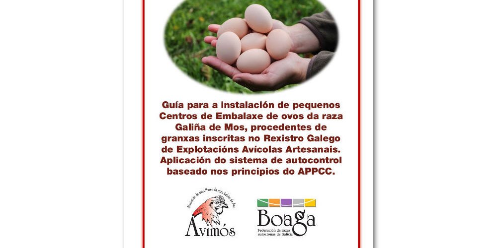 avimos-guia-para-a-instalacion-de-centros-de-embalaxe-definitivo-grande