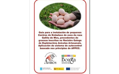 avimos-guia-para-a-instalacion-de-centros-de-embalaxe-definitivo-grande
