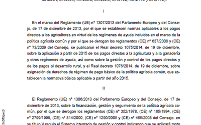 ayudas-pac-2022