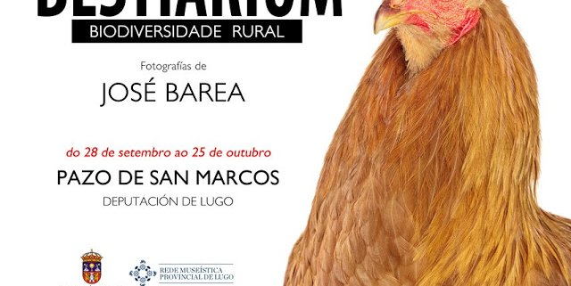 bestiarium-lugo