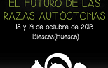 biescas-cartel2