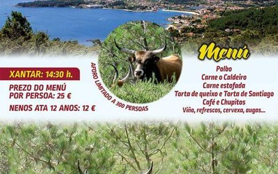 cartel-esteiro-2018