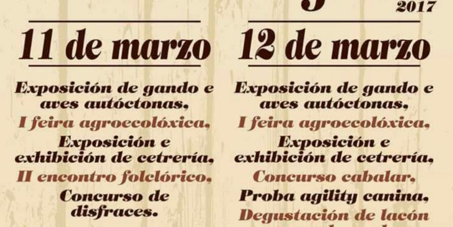 cartel-festa-lacon-con-grelos-ordes