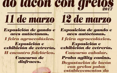 cartel-festa-lacon-con-grelos-ordes