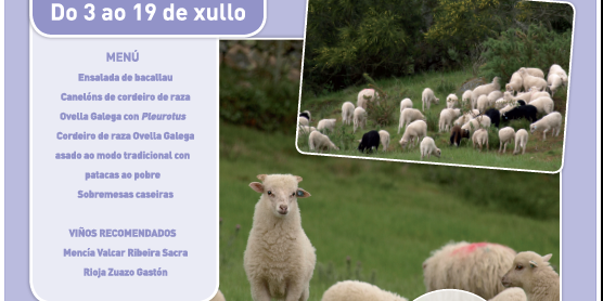 cartel-xornadas-rio-lea
