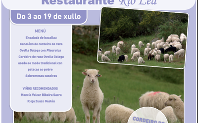 cartel-xornadas-rio-lea