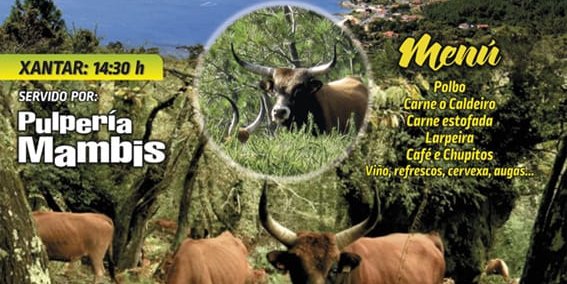 cartel_cachena_esteiro