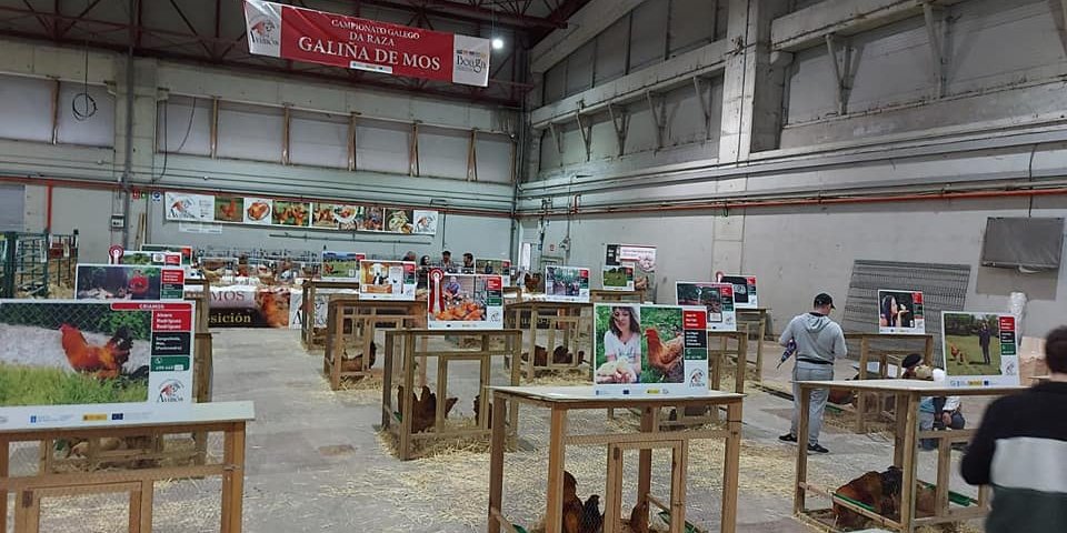concurso-lotes-gm