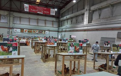 concurso-lotes-gm