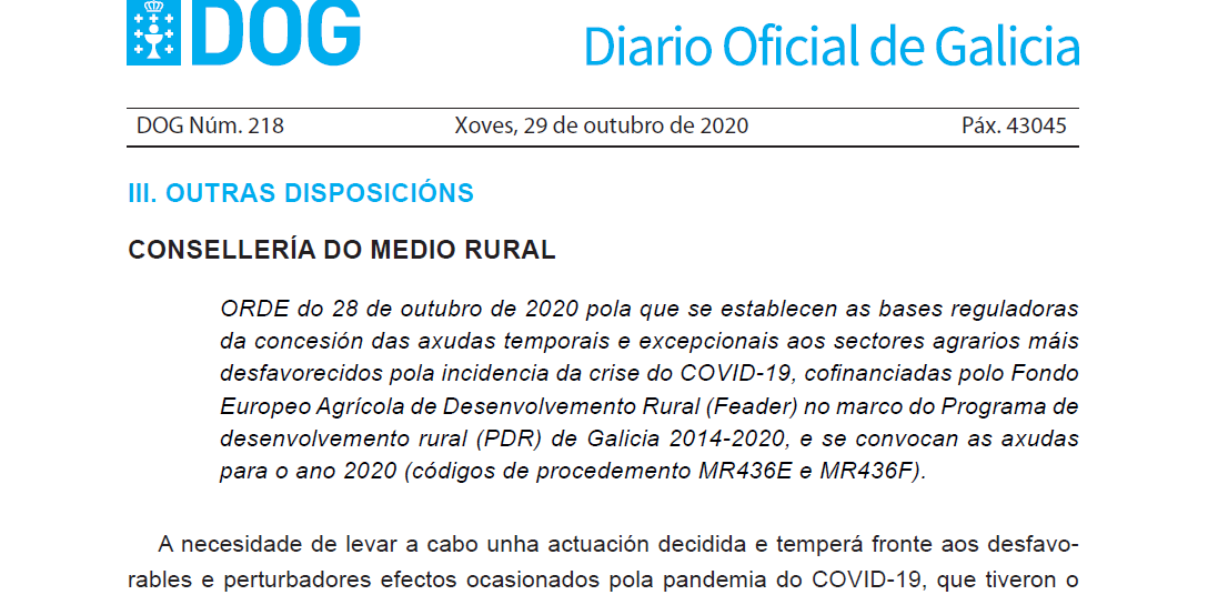 dog_-orde-28-outubro_axudas-covid
