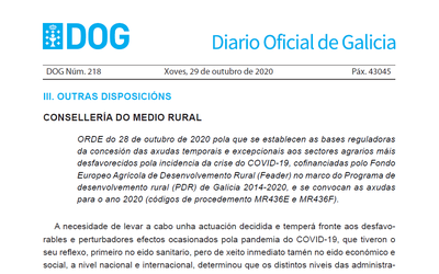 dog_-orde-28-outubro_axudas-covid