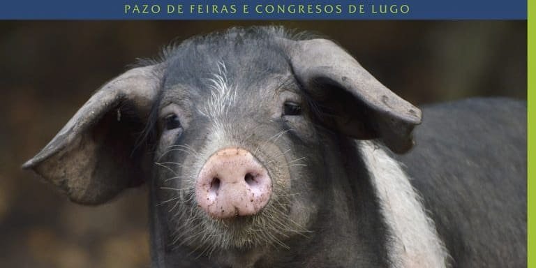 expolugo-a-rural