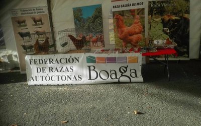 feira-da-barqueira-en-cerdido