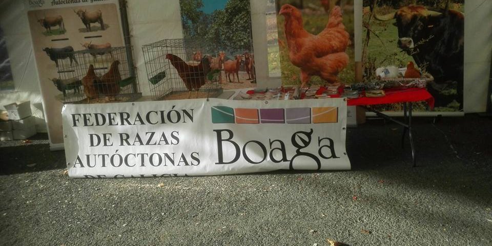 feira-da-barqueira-en-cerdido