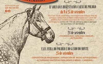 feira-do-poldro-en-muras-25-de-setembro