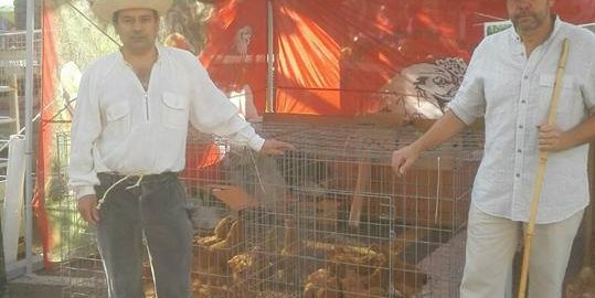 feira-dos-remedios-en-ponteareas-2-