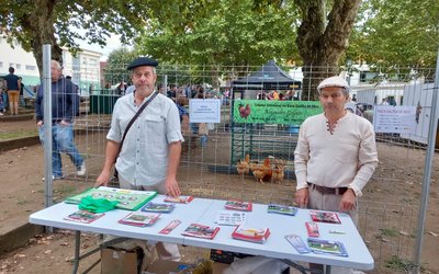 feira-dos-remedios-ponteareas
