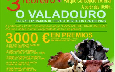 feira-o-valadouro-1320x1922
