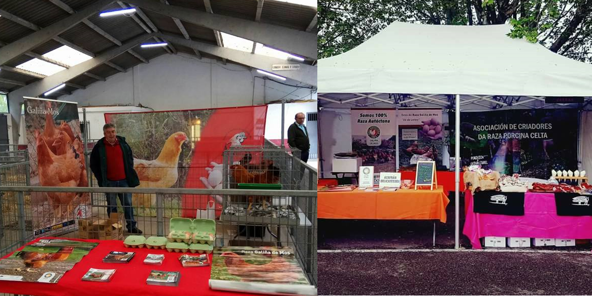 feira-san-isidro-en-sarria