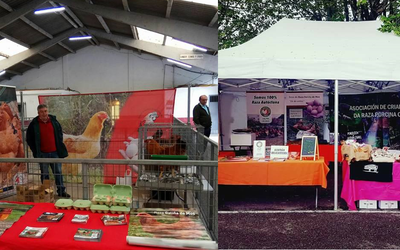 feira-san-isidro-en-sarria
