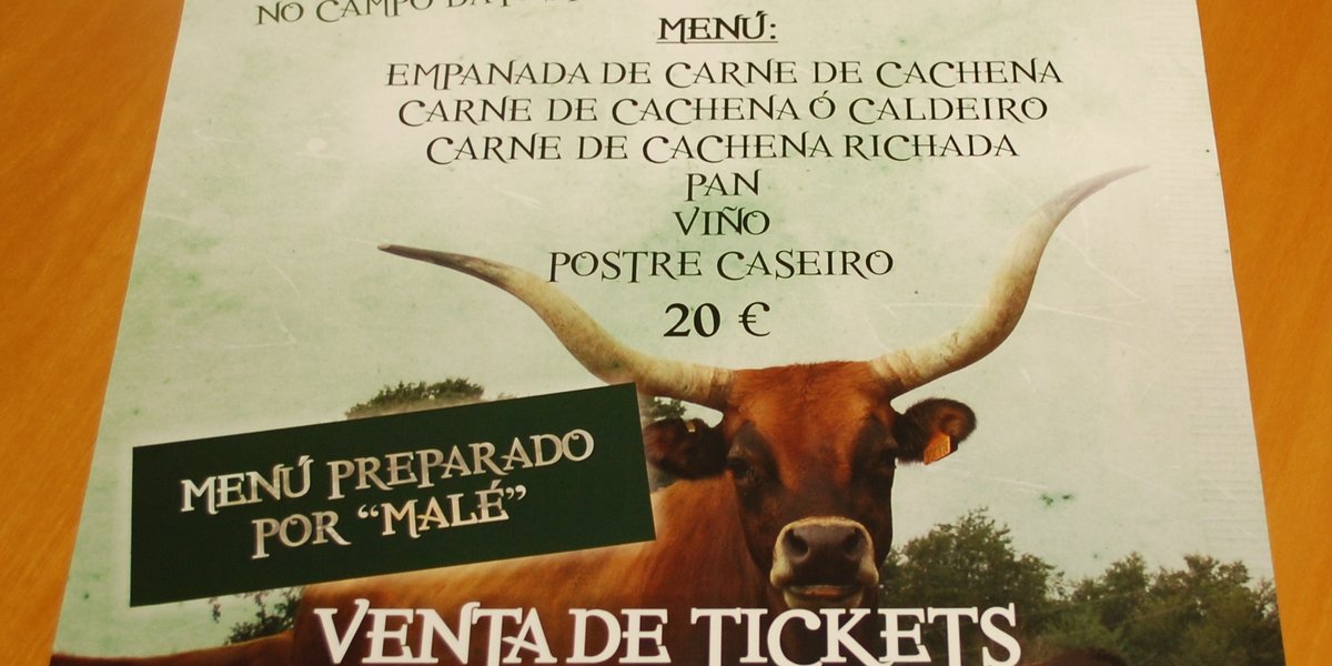 festa-da-cachena-para-web