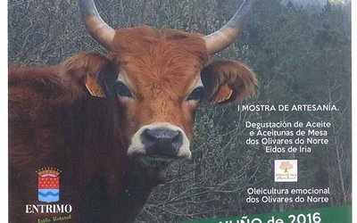 festa-do-entrimo-5-de-junio-2016