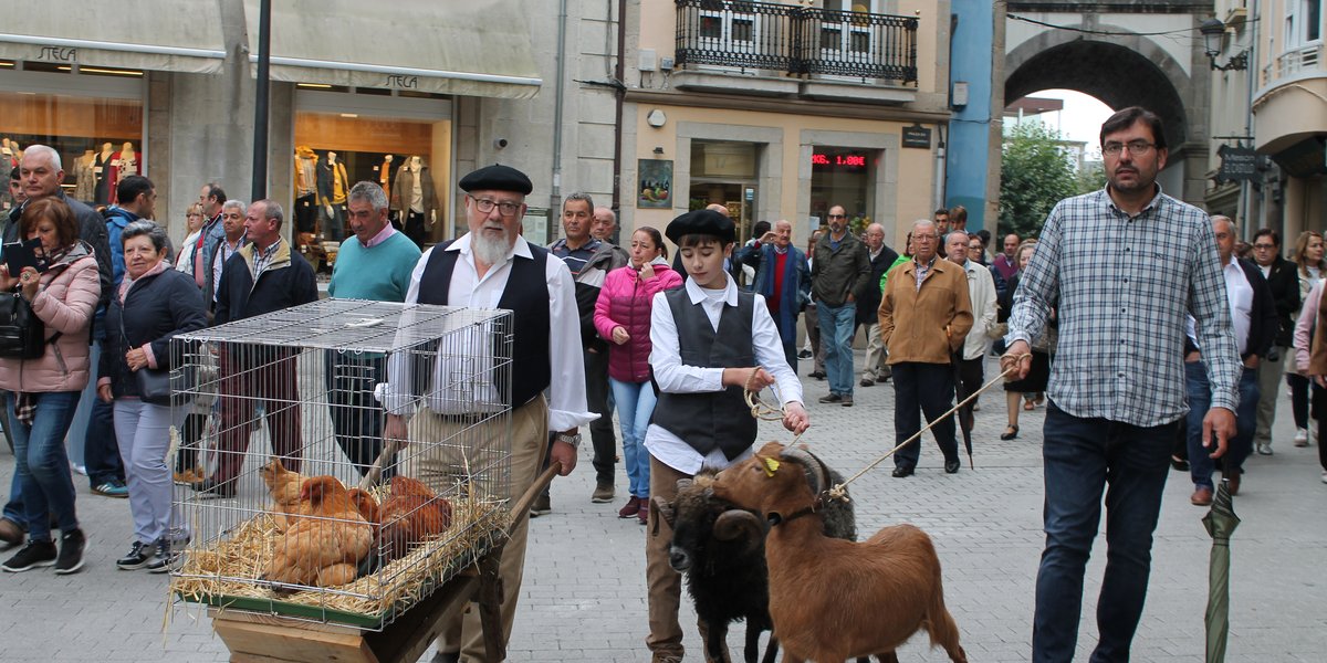 fot-desfile-pita_ovella_cabra