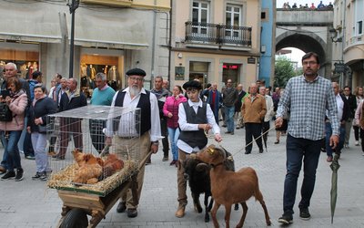 fot-desfile-pita_ovella_cabra