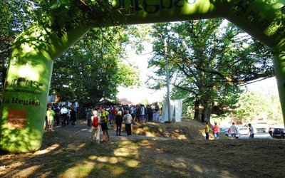 foto-2016