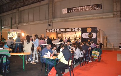 foto-tapirazas