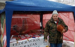 galina-de-mos-pedrafita-2018