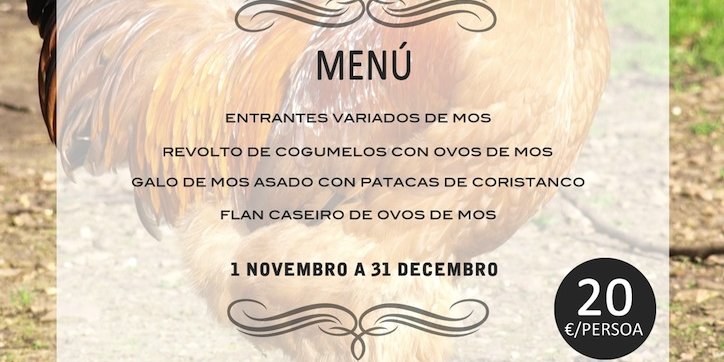 gallo-de-mos-casa-perfeuto-maria_1