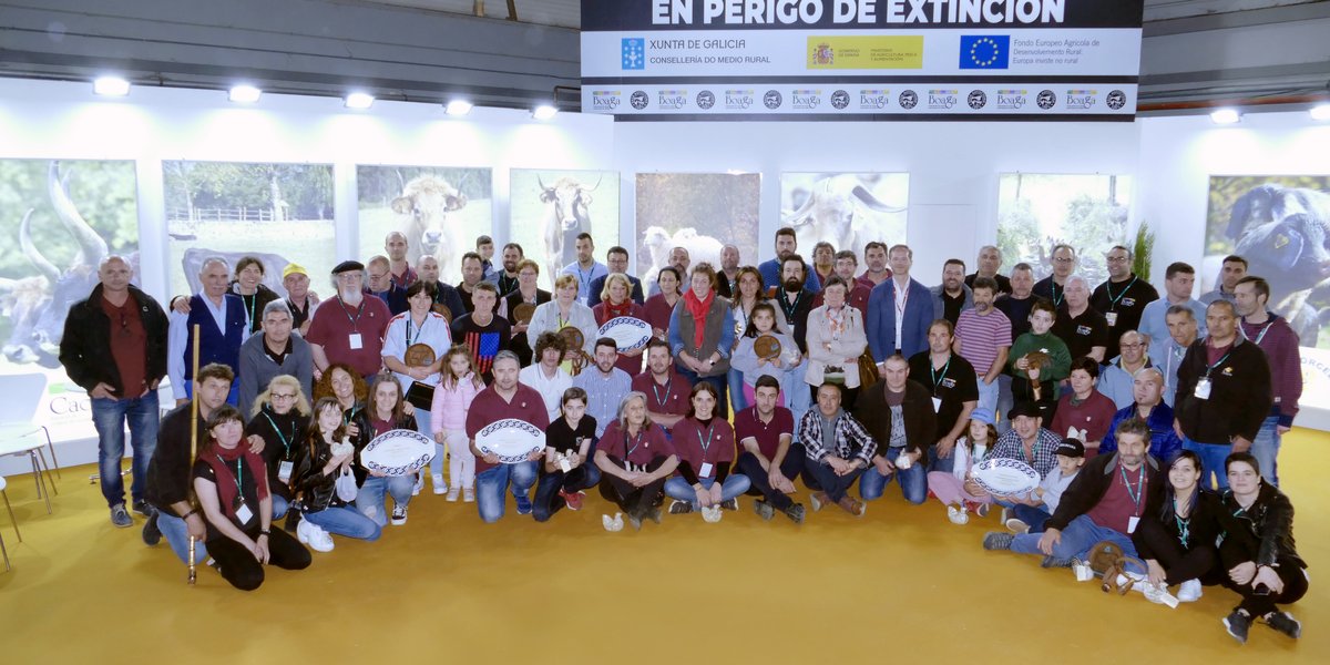 grupo-final
