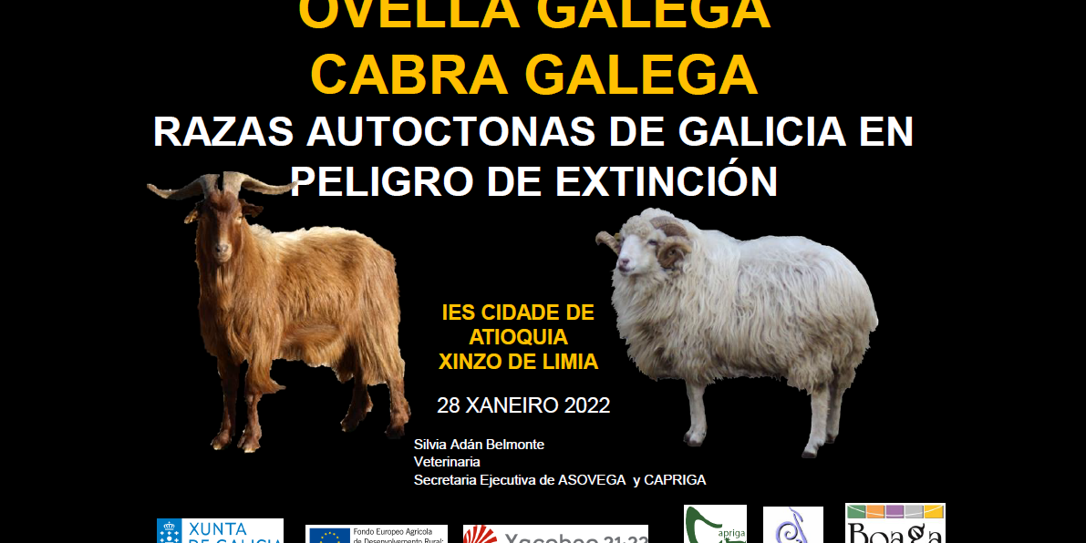 ies-cidade-antioquia_xinzo-limia