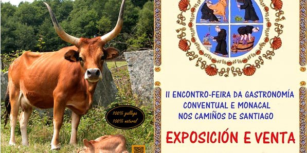 ii-encontro-gastronomico-de-samos