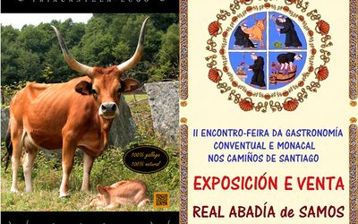 ii-encontro-gastronomico-de-samos