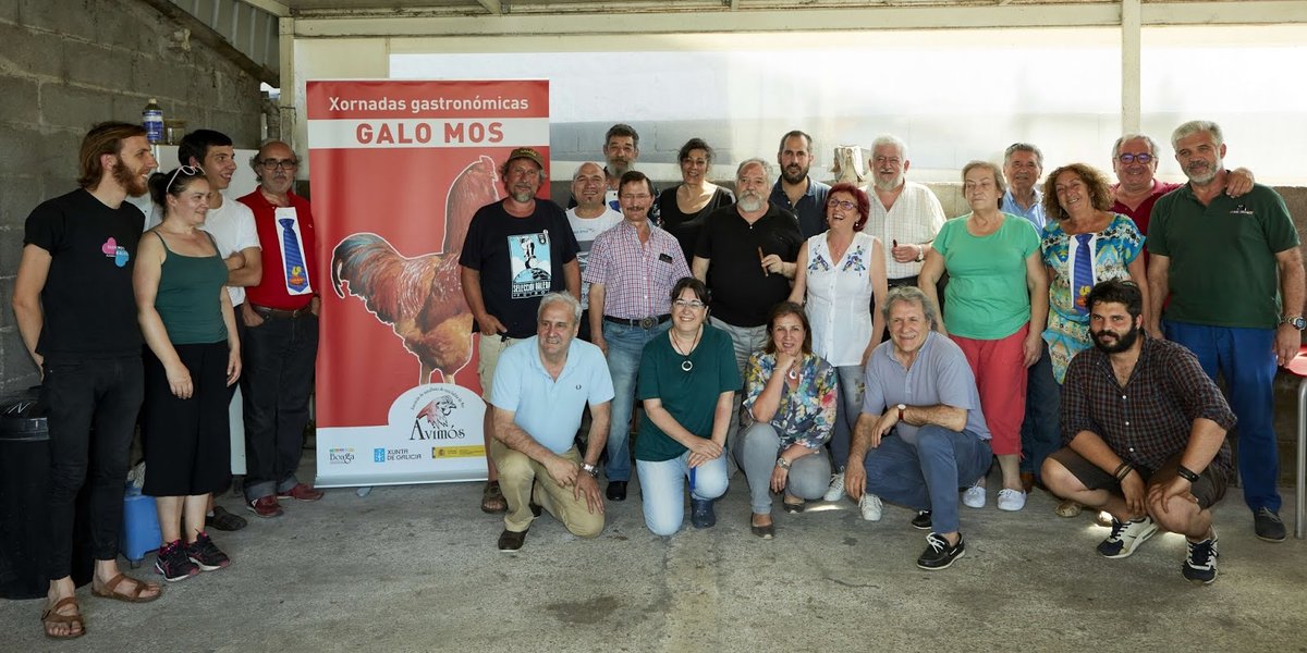 ii-exaltacom-do-galo-de-mos-2018