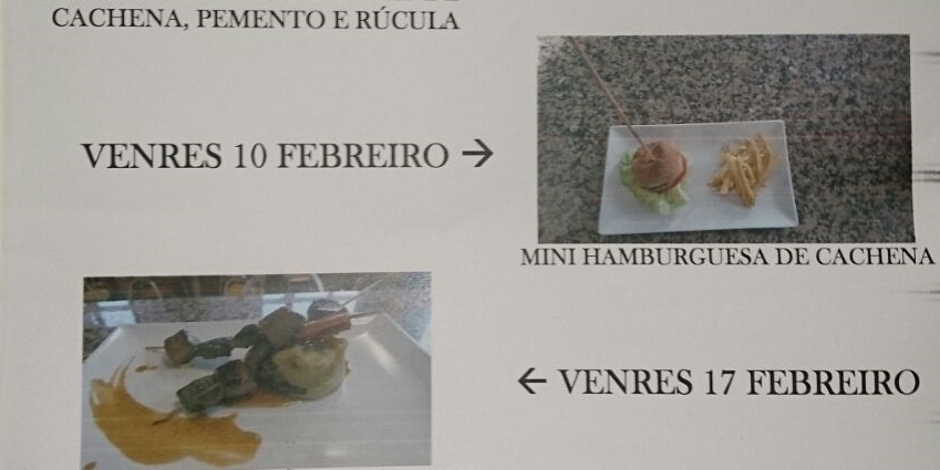 imagen-degustacion-cachena-no-vicedo