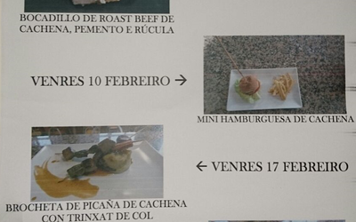 imagen-degustacion-cachena-no-vicedo_lPkxTdG