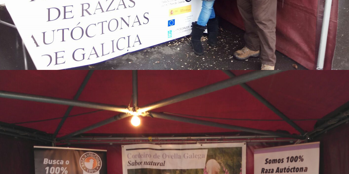 imagen-magreco-web-boaga
