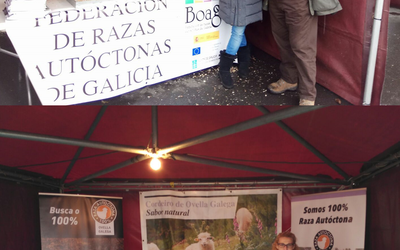 imagen-magreco-web-boaga