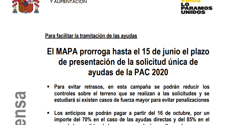 imagen-prorroga-pac_T4gK4mg