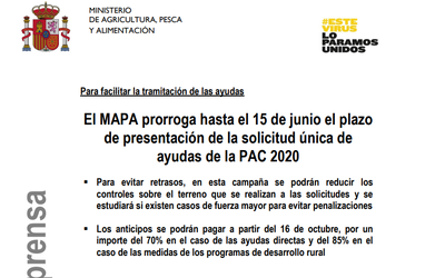 imagen-prorroga-pac_T4gK4mg