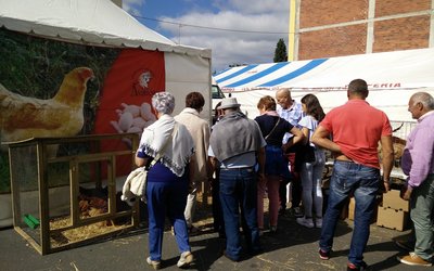 img_20160918_123128