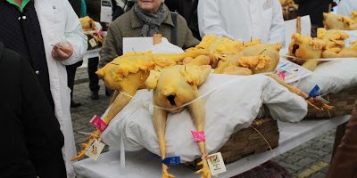 img_2613